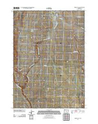 Misery Flat Oregon Historical topographic map, 1:24000 scale, 7.5 X 7.5 Minute, Year 2011
