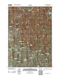 Monument Peak Oregon Historical topographic map, 1:24000 scale, 7.5 X 7.5 Minute, Year 2011