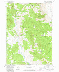 Morgan Butte Oregon Historical topographic map, 1:24000 scale, 7.5 X 7.5 Minute, Year 1966