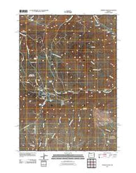 Mormon Basin Oregon Historical topographic map, 1:24000 scale, 7.5 X 7.5 Minute, Year 2011