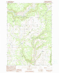 Mosquito Flat Oregon Historical topographic map, 1:24000 scale, 7.5 X 7.5 Minute, Year 1990