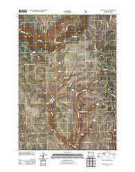 Mosquito Flat Oregon Historical topographic map, 1:24000 scale, 7.5 X 7.5 Minute, Year 2011