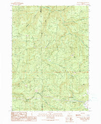 Mount Gurney Oregon Historical topographic map, 1:24000 scale, 7.5 X 7.5 Minute, Year 1990