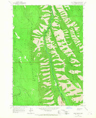 Mount Moriah Oregon Historical topographic map, 1:24000 scale, 7.5 X 7.5 Minute, Year 1965