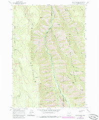 Mount Moriah Oregon Historical topographic map, 1:24000 scale, 7.5 X 7.5 Minute, Year 1965