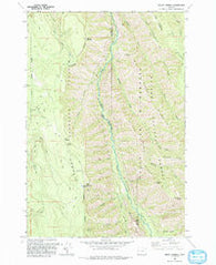 Mount Moriah Oregon Historical topographic map, 1:24000 scale, 7.5 X 7.5 Minute, Year 1993