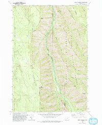Mount Moriah Oregon Historical topographic map, 1:24000 scale, 7.5 X 7.5 Minute, Year 1993