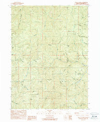 Mount Peavine Oregon Historical topographic map, 1:24000 scale, 7.5 X 7.5 Minute, Year 1989