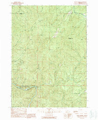 Mount Reuben Oregon Historical topographic map, 1:24000 scale, 7.5 X 7.5 Minute, Year 1989
