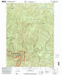 Mount Reuben Oregon Historical topographic map, 1:24000 scale, 7.5 X 7.5 Minute, Year 1998
