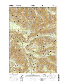 Mount Bruno Oregon Current topographic map, 1:24000 scale, 7.5 X 7.5 Minute, Year 2014