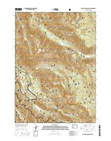 Mount David Douglas Oregon Current topographic map, 1:24000 scale, 7.5 X 7.5 Minute, Year 2014