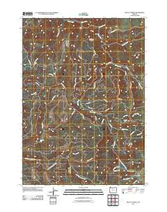 Mount Gurney Oregon Historical topographic map, 1:24000 scale, 7.5 X 7.5 Minute, Year 2011
