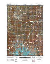 Mount Hood North Oregon Historical topographic map, 1:24000 scale, 7.5 X 7.5 Minute, Year 2011