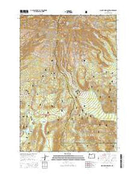Mount Hood South Oregon Current topographic map, 1:24000 scale, 7.5 X 7.5 Minute, Year 2014