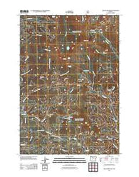 Mount Ireland Oregon Historical topographic map, 1:24000 scale, 7.5 X 7.5 Minute, Year 2011