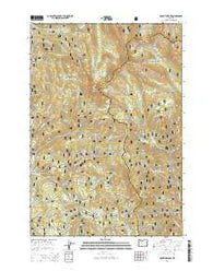 Mount Ireland Oregon Current topographic map, 1:24000 scale, 7.5 X 7.5 Minute, Year 2014