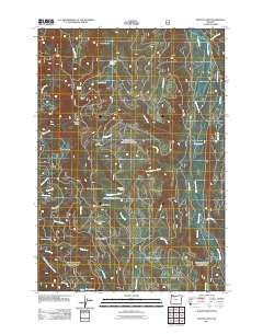 Mount Lowe Oregon Historical topographic map, 1:24000 scale, 7.5 X 7.5 Minute, Year 2011