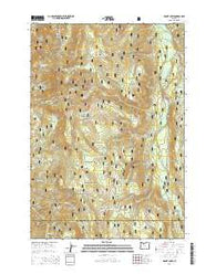 Mount Lowe Oregon Current topographic map, 1:24000 scale, 7.5 X 7.5 Minute, Year 2014