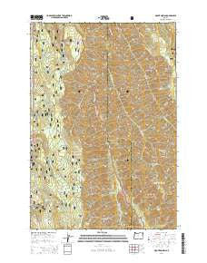 Mount Moriah Oregon Current topographic map, 1:24000 scale, 7.5 X 7.5 Minute, Year 2014