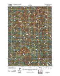 Mount Nebo Oregon Historical topographic map, 1:24000 scale, 7.5 X 7.5 Minute, Year 2011
