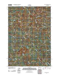 Mount Nebo Oregon Historical topographic map, 1:24000 scale, 7.5 X 7.5 Minute, Year 2011