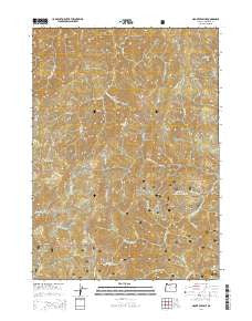 Mount Peavine Oregon Current topographic map, 1:24000 scale, 7.5 X 7.5 Minute, Year 2014