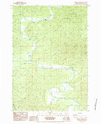 Mowrey Landing Oregon Historical topographic map, 1:24000 scale, 7.5 X 7.5 Minute, Year 1984
