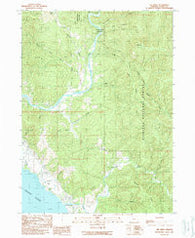 Mt. Emily Oregon Historical topographic map, 1:24000 scale, 7.5 X 7.5 Minute, Year 1989