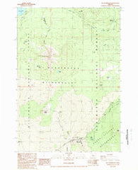 Mt. Washington Oregon Historical topographic map, 1:24000 scale, 7.5 X 7.5 Minute, Year 1988