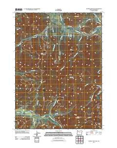Murphy Mountain Oregon Historical topographic map, 1:24000 scale, 7.5 X 7.5 Minute, Year 2011