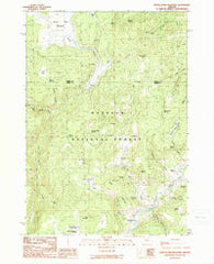 Myrtle Park Meadows Oregon Historical topographic map, 1:24000 scale, 7.5 X 7.5 Minute, Year 1990