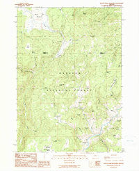 Myrtle Park Meadows Oregon Historical topographic map, 1:24000 scale, 7.5 X 7.5 Minute, Year 1990