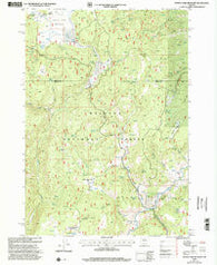 Myrtle Park Meadows Oregon Historical topographic map, 1:24000 scale, 7.5 X 7.5 Minute, Year 1999