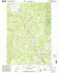 Myrtle Park Meadows Oregon Historical topographic map, 1:24000 scale, 7.5 X 7.5 Minute, Year 1999