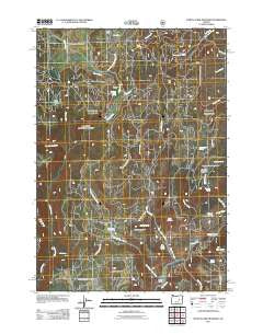 Myrtle Park Meadows Oregon Historical topographic map, 1:24000 scale, 7.5 X 7.5 Minute, Year 2011