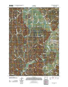 Myrtle Point Oregon Historical topographic map, 1:24000 scale, 7.5 X 7.5 Minute, Year 2011