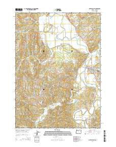 Myrtle Point Oregon Current topographic map, 1:24000 scale, 7.5 X 7.5 Minute, Year 2014