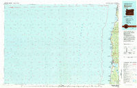 Newport Oregon Historical topographic map, 1:100000 scale, 30 X 60 Minute, Year 1981