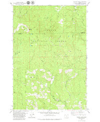 Niagara Creek Oregon Historical topographic map, 1:24000 scale, 7.5 X 7.5 Minute, Year 1979