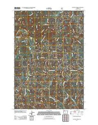 Niagara Creek Oregon Historical topographic map, 1:24000 scale, 7.5 X 7.5 Minute, Year 2011