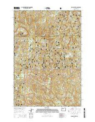 Niagara Creek Oregon Current topographic map, 1:24000 scale, 7.5 X 7.5 Minute, Year 2014