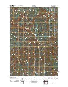 Nicolai Mountain Oregon Historical topographic map, 1:24000 scale, 7.5 X 7.5 Minute, Year 2011