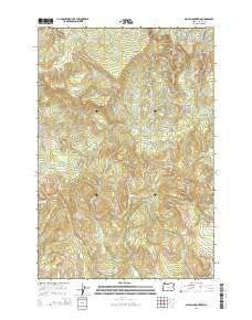Nicolai Mountain Oregon Current topographic map, 1:24000 scale, 7.5 X 7.5 Minute, Year 2014