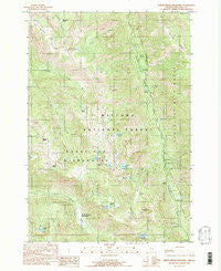 North Minam Meadows Oregon Historical topographic map, 1:24000 scale, 7.5 X 7.5 Minute, Year 1990