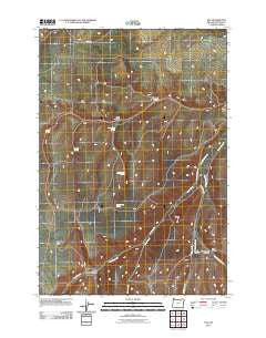 Nye Oregon Historical topographic map, 1:24000 scale, 7.5 X 7.5 Minute, Year 2011