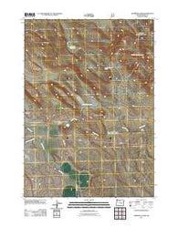 Oakerman Lakes Oregon Historical topographic map, 1:24000 scale, 7.5 X 7.5 Minute, Year 2011