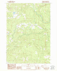 Obenchain Mtn Oregon Historical topographic map, 1:24000 scale, 7.5 X 7.5 Minute, Year 1988