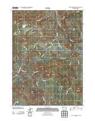 Obenchain Mountain Oregon Historical topographic map, 1:24000 scale, 7.5 X 7.5 Minute, Year 2011