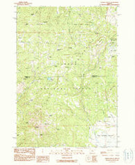Ochoco Butte Oregon Historical topographic map, 1:24000 scale, 7.5 X 7.5 Minute, Year 1990
